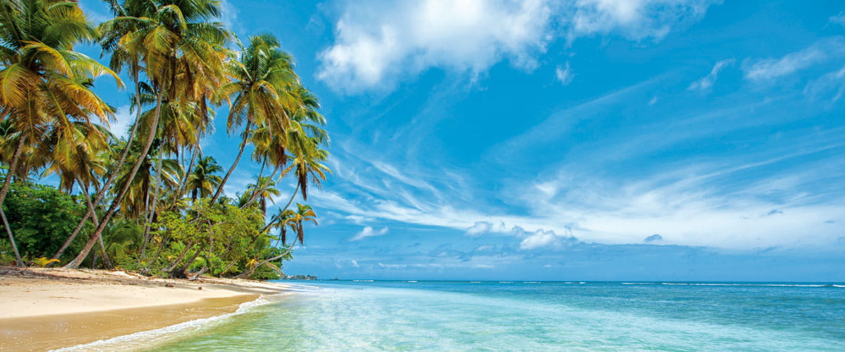 An idyllic tropical beach in Trinidad